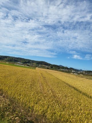김영진(전남영광)님의 자유주제 · 자유게시판 작성글 사진