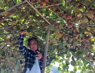 윤영숙소화데레사님의 자유주제 · 자유게시판 작성글 사진