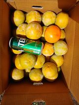 팜모닝 자유주제·사진전 게시글 이미지