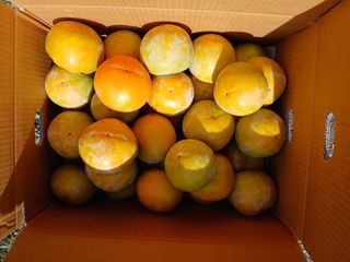 감자7294님의 자유주제 · 사진전 작성글 사진