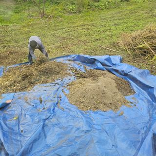 백용기님의 자유주제 · 자유게시판 작성글 사진