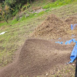 백용기님의 자유주제 · 자유게시판 작성글 사진
