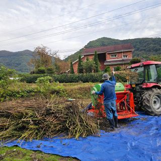 백용기님의 자유주제 · 자유게시판 작성글 사진