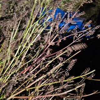 백용기님의 자유주제 · 자유게시판 작성글 사진