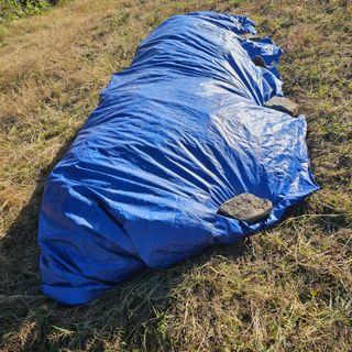 백용기님의 자유주제 · 자유게시판 작성글 사진