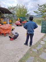 팜모닝 사과·영농일지 게시글 이미지