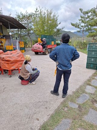 조순자님의 사과 · 영농일지 작성글 사진