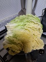 팜모닝 자유주제·자유게시판 게시글 이미지