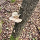 팜모닝 자유주제·자유게시판 게시글 이미지