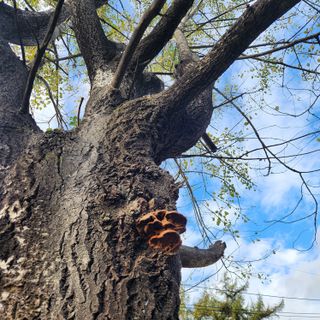 들깨님의 자유주제 · 자유게시판 작성글 사진