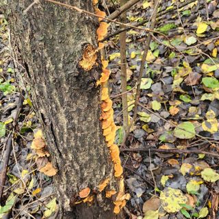 들깨님의 자유주제 · 자유게시판 작성글 사진