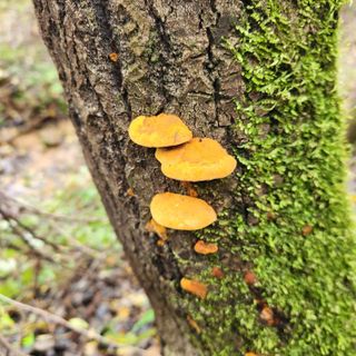 들깨님의 자유주제 · 자유게시판 작성글 사진