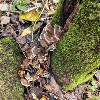 들깨님의 자유주제 · 자유게시판 작성글 사진