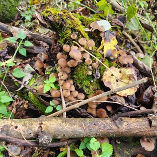 들깨님의 자유주제 · 자유게시판 작성글 사진