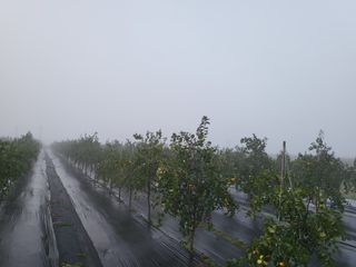 이동엽(양지팜)님의 자유주제 · 자유게시판 작성글 사진