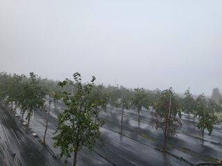 이동엽(양지팜)님의 자유주제 · 자유게시판 작성글 사진