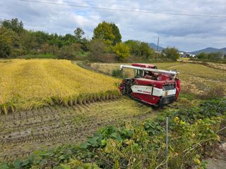 박세은님의 자유주제 · 자유게시판 작성글 사진