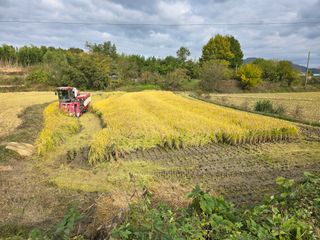 박세은님의 자유주제 · 자유게시판 작성글 사진