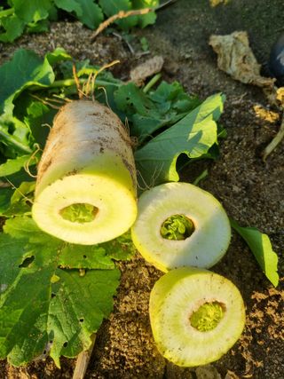 감자님의 자유주제 · 자유게시판 작성글 사진