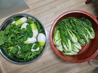 유명숙님의 자유주제 · 자유게시판 작성글 사진