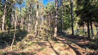 순천채승묵님의 기타작물 · 영농일지 작성글 사진