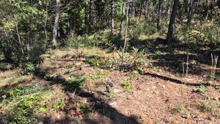 순천채승묵님의 기타작물 · 영농일지 작성글 사진