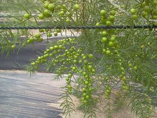 이창신님의 자유주제 · 자유게시판 작성글 사진