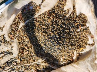 이창신님의 자유주제 · 자유게시판 작성글 사진