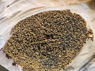 이창신님의 자유주제 · 자유게시판 작성글 사진