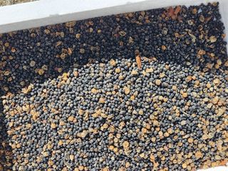 이창신님의 자유주제 · 자유게시판 작성글 사진