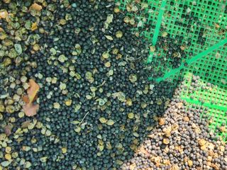 이창신님의 자유주제 · 자유게시판 작성글 사진