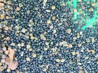 이창신님의 자유주제 · 자유게시판 작성글 사진