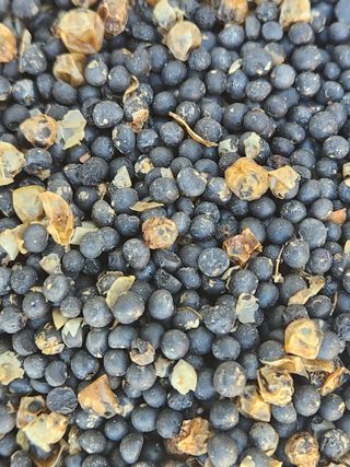 이창신님의 자유주제 · 자유게시판 작성글 사진