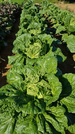 써니님의 작성글 사진