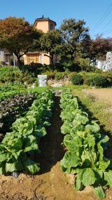 써니님의 작성글 사진