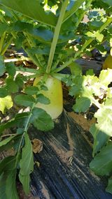 써니님의 작성글 사진