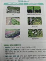 팜모닝 자유주제·자유게시판 게시글 이미지