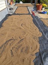 팜모닝 · 게시글 이미지