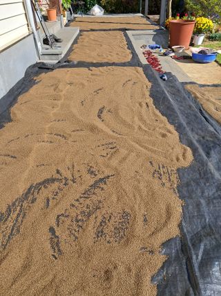 임기석님의 작성글 사진