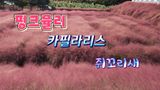 팜모닝 자유주제·자유게시판 게시글 이미지