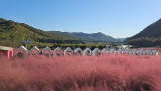 김제일주농장님의 자유주제 · 자유게시판 작성글 사진