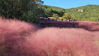 김제일주농장님의 자유주제 · 자유게시판 작성글 사진