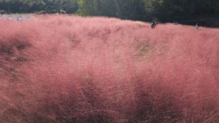 김제일주농장님의 자유주제 · 자유게시판 작성글 사진