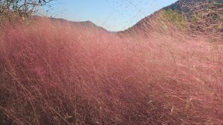 김제일주농장님의 자유주제 · 자유게시판 작성글 사진