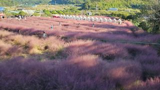 김제일주농장님의 자유주제 · 자유게시판 작성글 사진