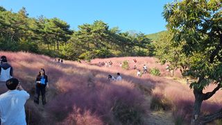 김제일주농장님의 자유주제 · 자유게시판 작성글 사진