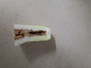 하봉문님의 자유주제 · 자유게시판 작성글 사진