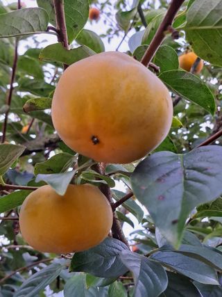 좋은인연원님의 자유주제 · 자유게시판 작성글 사진