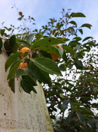 좋은인연원님의 자유주제 · 자유게시판 작성글 사진