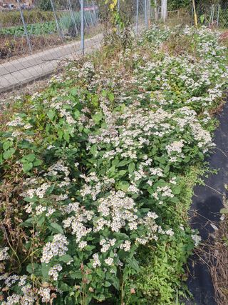 김철원,바람산인님의 자유주제 · 자유게시판 작성글 사진